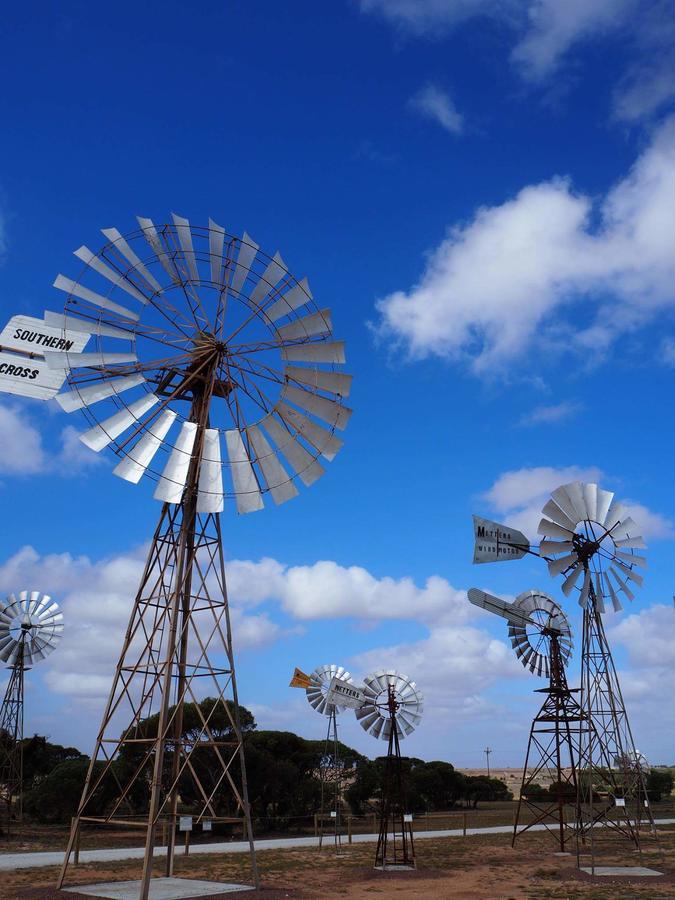 Big4 Ceduna Tourist Park Buitenkant foto